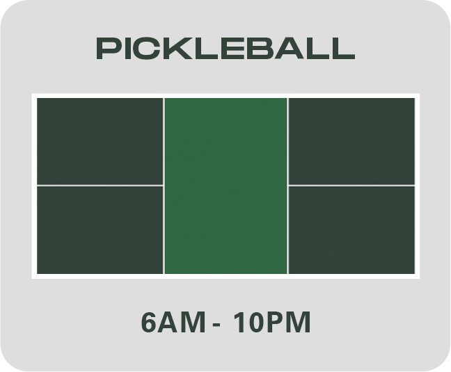 Pickleball Court